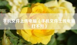手机文件上传电脑（手机文件上传电脑打不开）