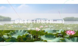 炒股手机（炒股手机m828）