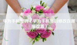 华为手机密码（华为手机密码修改在哪里设置）