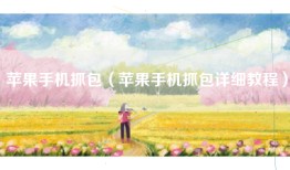 苹果手机抓包（苹果手机抓包详细教程）