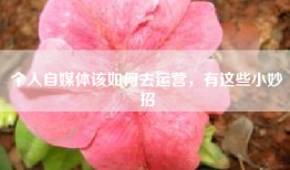 个人自媒体该如何去运营，有这些小妙招