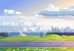 今日播出｜山阳：特色养殖助力挂面小镇“畜”势待发