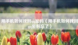 用手机如何找回qq密码（用手机如何找回qq密码忘了）