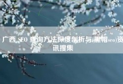 广西 SEO 查询方法深度剖析与(黑帽seo)资讯搜集