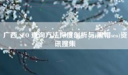 广西 SEO 查询方法深度剖析与(黑帽seo)资讯搜集