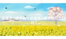 诺基亚26键手机（诺基亚26键手机怎么打开）