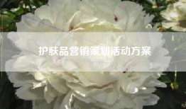护肤品营销策划活动方案