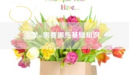 学ai需要哪些基础知识