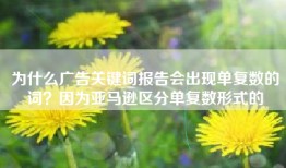 为什么广告关键词报告会出现单复数的词？因为亚马逊区分单复数形式的