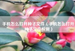 手机怎么打开种子文件（手机怎么打开种子文件权限）