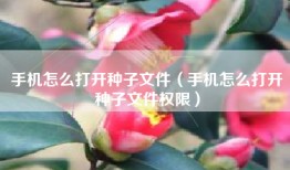 手机怎么打开种子文件（手机怎么打开种子文件权限）