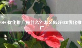 SEO优化推广是什么？怎么做好SEO优化推广