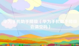华为手机助手降级（华为手机助手降级会清空吗）