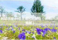 网站百度SEO优化排名的要点（SEO技巧大揭秘）