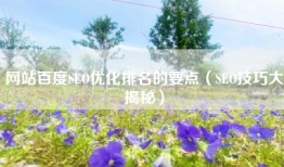 网站百度SEO优化排名的要点（SEO技巧大揭秘）