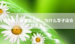 张杰彬：新角度分析，为什么李子柒会如此火？
