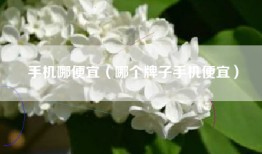手机哪便宜（哪个牌子手机便宜）