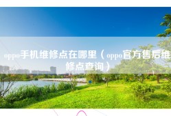 oppo手机维修点在哪里（oppo官方售后维修点查询）