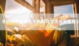 手机游戏变速（手机游戏变速器免费版）