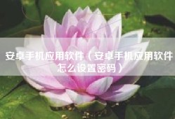 安卓手机应用软件（安卓手机应用软件怎么设置密码）