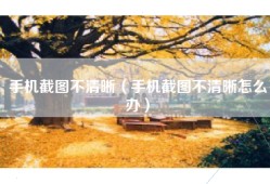手机截图不清晰（手机截图不清晰怎么办）