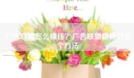 广告联盟怎么赚钱？广告联盟赚钱的五个方法