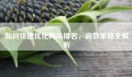 如何快速优化网站排名，高效策略全解析