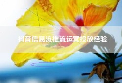 抖音信息流推流运营投放经验