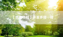 【地推项目】来客多碰一碰