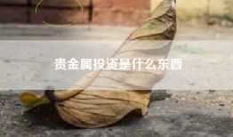 贵金属投资是什么东西