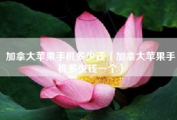 加拿大苹果手机多少钱（加拿大苹果手机多少钱一个）