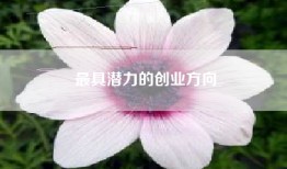 最具潜力的创业方向