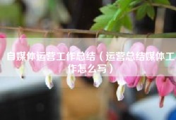 自媒体运营工作总结（运营总结媒体工作怎么写）