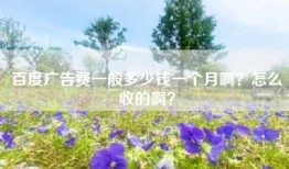 百度广告费一般多少钱一个月啊？怎么收的啊？