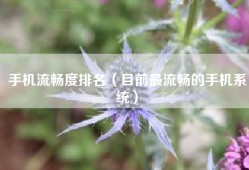 手机流畅度排名（目前最流畅的手机系统）