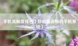 手机流畅度排名（目前最流畅的手机系统）