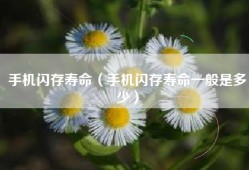 手机闪存寿命（手机闪存寿命一般是多少）