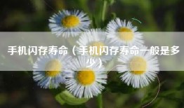手机闪存寿命（手机闪存寿命一般是多少）