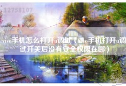 vivo手机怎么打开u调试（vivo手机打开u调试开关后没有安全权限在哪）