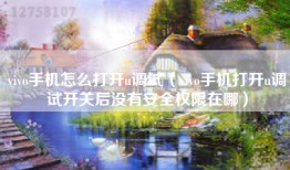 vivo手机怎么打开u调试（vivo手机打开u调试开关后没有安全权限在哪）