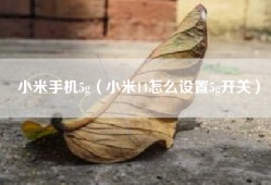 小米手机5g（小米14怎么设置5g开关）