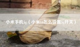 小米手机5g（小米14怎么设置5g开关）