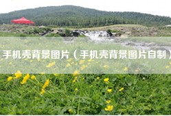 手机壳背景图片（手机壳背景图片自制）