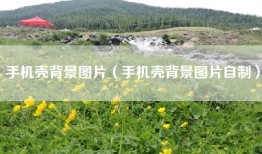 手机壳背景图片（手机壳背景图片自制）