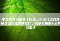 小蜜蜂营销是基于阿里云和亚马逊的外贸企业智能建站推广、营销管理的SAAS营销系统