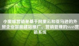小蜜蜂营销是基于阿里云和亚马逊的外贸企业智能建站推广、营销管理的SAAS营销系统