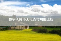 数字人民币无电支付功能上线