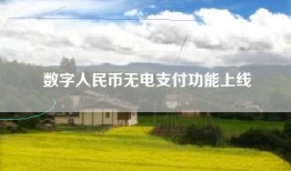 数字人民币无电支付功能上线