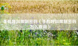 手机呼叫限制密码（手机呼叫限制密码怎么查询）
