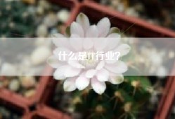什么是IT行业？
